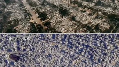 gaza-los-angeles-destruction-comparison