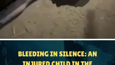 Bleeding in Silence: An Injured Child in the Gaza Strip